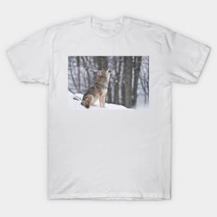 Howling Coyote T-Shirt